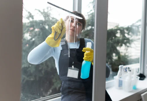 Nettoyage de vitres intérieures et extérieures à Langy